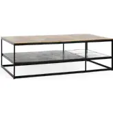 Remmy 52" Coffee Table in Multicolor Cast Aluminum & Glass