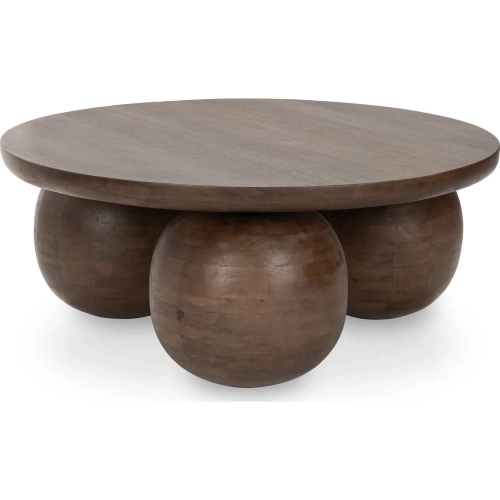 Delyla Coffee Table in Mango Wood