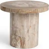 Janelle 22"H End Table in Sepia Vein Petrified Wood
