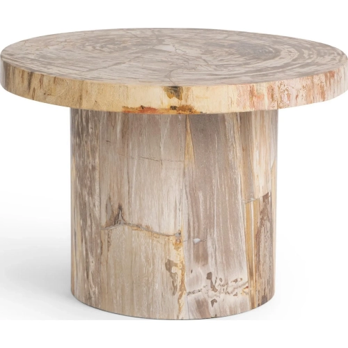 Janelle 18"H End Table in Sepia Vein Petrified Wood