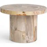 Janelle 18"H End Table in Sepia Vein Petrified Wood