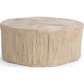 Messi Coffee Table in Coastal Birch Petrified Wood Tiles & Fiber Glass
