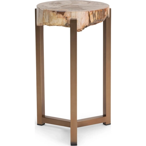 Breanna 16" Round End Table in Sepia Vein Petrified Wood & Brass Steel