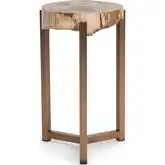 Breanna 16" Round End Table in Sepia Vein Petrified Wood & Brass Steel