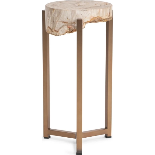 Breanna 12" Round End Table in Sepia Vein Petrified Wood & Brass Steel