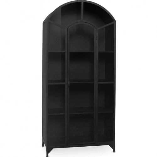 Lillo Single Door Cabinet in Black Metal & Tempered Glass