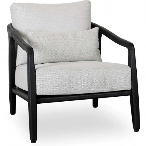 Aria Outdoor Accent Chair in Black Teak, Weave & Neutral Fabric