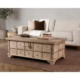 Alta Trunk Coffee Table in Bleached White Mixed Reclaimed Wood