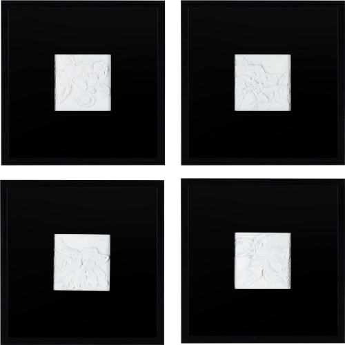 Study in Black and White Wall Art