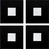 Study in Black and White Wall Art