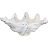 Henley Resin Shell Sculpture in White Resin