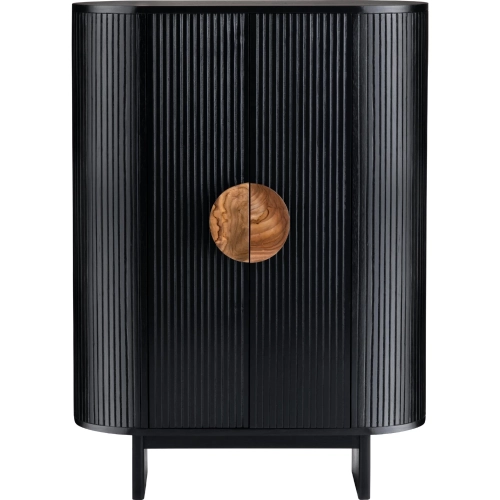 Paloma 2 Door Tall Cabinet in Black Wood