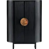 Paloma 2 Door Tall Cabinet in Black Wood