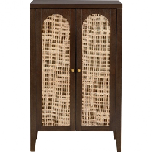 Arcadian 2 Door Accent Chest in Brown Wood