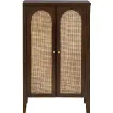 Arcadian 2 Door Accent Chest in Brown Wood