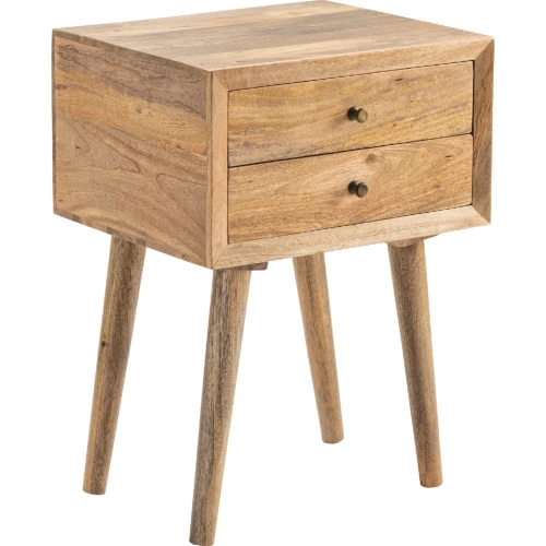 Rigley Square 2 Drawer Accent Table in Mango Wood