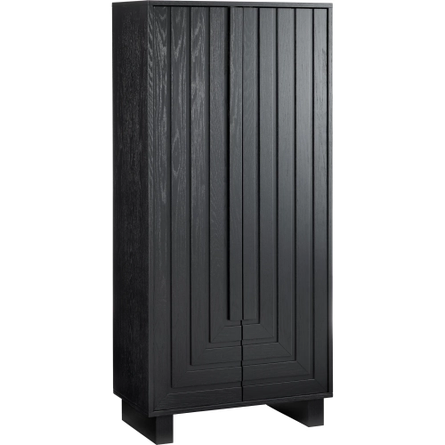 Dylan 2 Door Accent Cabinet in Black Stained Wood