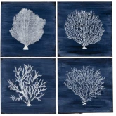 Four Corals Canvas Painting in Blue & White (Set of 4)