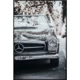 Stang Car Tempered Glass Print Wall Art in Black & White