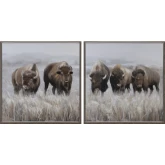 Grazing Herds Bison Canvas Painting in Brown, Gray & White
