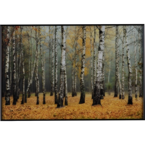 Rivers Birch Tree Wall Art Tempered Glass Print in Autumn Multicolor