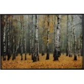 Rivers Birch Tree Wall Art Tempered Glass Print in Autumn Multicolor