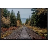 Autumn Tracks Train Print Wall Art in Multicolor