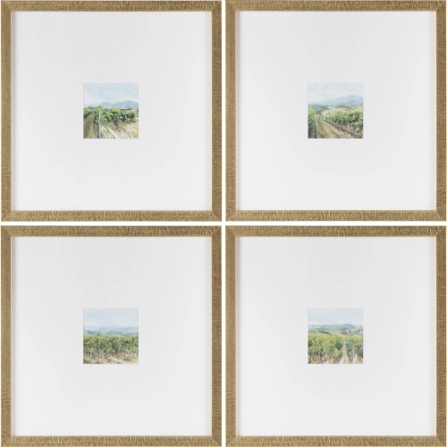 Vineyards Wall Art in Green & White (Set of 4)