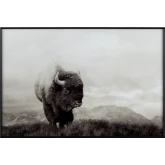 Bison Life Landscape Wall Art in Tempered Glass in Charcoal & Neutrals