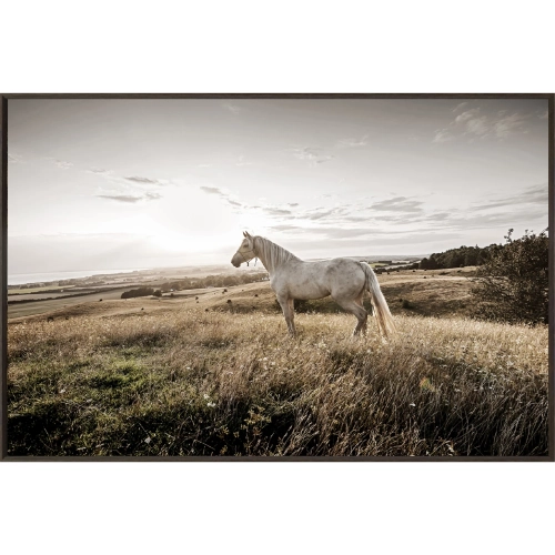 Colbert Horse Wall Art Phot Print on Tempered Glass in Brown, Green & White