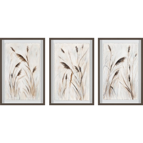 Wishful Thinking Wall Art in Browns