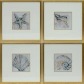 Just Beachy Seashells Framed Canvas Wall Art in Multicolor, Blue & Gold (Set of 4)