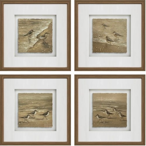 Collier Birds Framed Hand Painted Linen Wall Art in Brown & White (Set of 4)