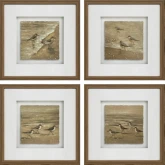 Collier Birds Framed Hand Painted Linen Wall Art in Brown & White (Set of 4)