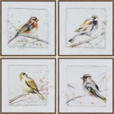 Dupree Bird Canvas Painting Wall Art in Multicolor (Set of 4)