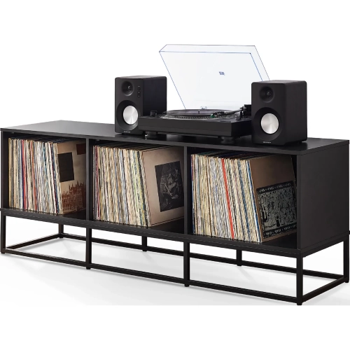 Enzo Large Record Storage Media Console in Black Wood & Steel