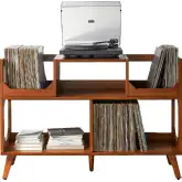 Asheville 47"W Record Storage Console in Walnut Wood Veneer