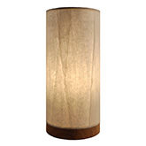Paper Cylinder Table Lamp w/ Glacier Shade on Driftwood Base