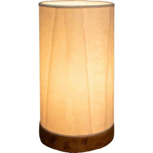 Paper Cylinder Table Lamp w/ Glacier Shade on Driftwood Base (Mini)