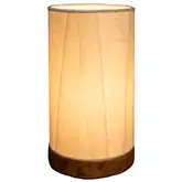 Paper Cylinder Table Lamp w/ Glacier Shade on Driftwood Base (Mini)