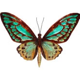 Butterfly Wall Decor in Aqua Blue & Gold Capiz Shell