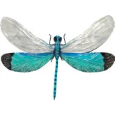 Dragonfly Wall Decor in White & Aqua