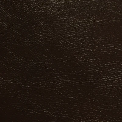 GTR Leather Amadeus Coffee swatch