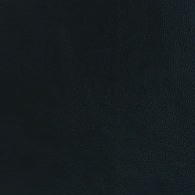 GTR Leather Amadeus Sapphire swatch