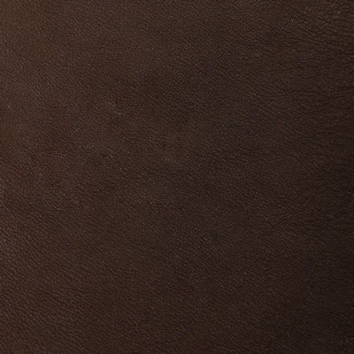 GTR Leather Berkshire Cocoa Mousse swatch