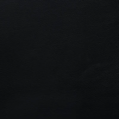 GTR Leather Berkshire Onyx swatch