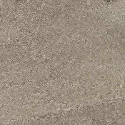 GTR Leather Boca Cashmere swatch