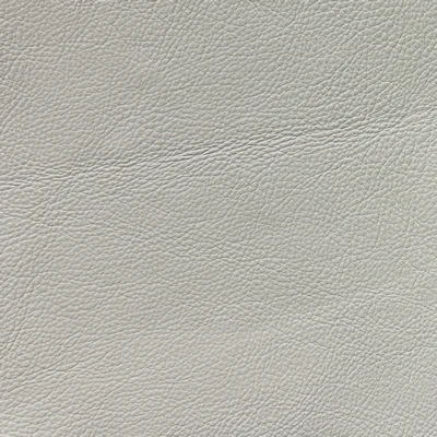 GTR Leather Boca Winter White swatch