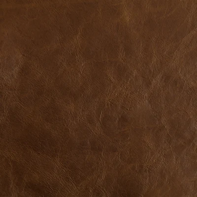 GTR Leather Laguna Fawn swatch