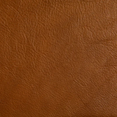 GTR Leather Mars Canyon swatch